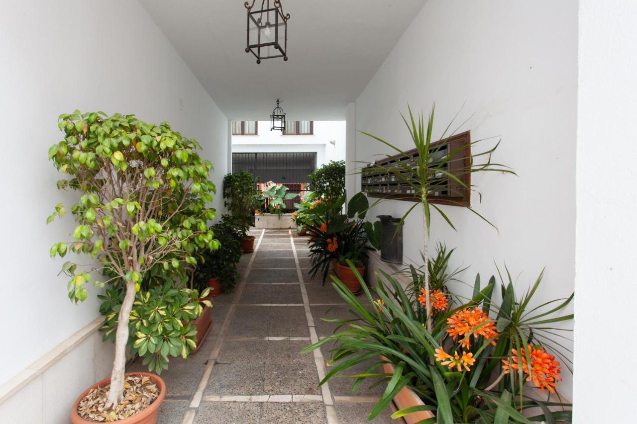 Pikis Center 1 Apartamento *
